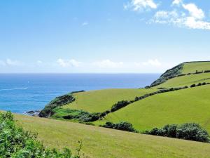 a green hillside with the ocean in the background at Penty Rosen in Pentewan
