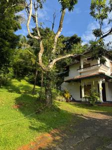 a house with a tree in front of it at Thoppil Homestay Munnar in Munnar