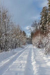 a snow covered road with footprints in the snow at Westerwald Hideaway 