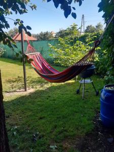 a hammock in a yard with a grill at Nocleg pod dębem in Czerna