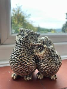 two owls statue sitting on a table near a window at The Snug in Goodrich