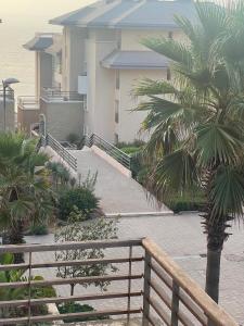 a walkway with palm trees in front of a building at Beach appartement in Kenitra +4 photos