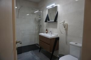 a bathroom with a sink and a shower and a toilet at Bujorul Oltului in Călimăneşti +42 photos