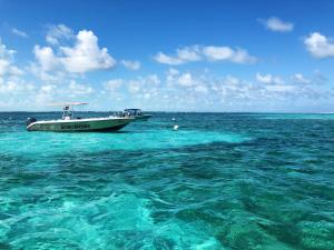 a boat in the middle of the ocean at Book And Save Oceanfront Private Estate By Alom in San Pedro