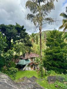 a house in the middle of a forest at Thoppil Homestay Munnar in Munnar