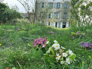 a field of flowers in front of a building at Maison Pistache in Le Dorat