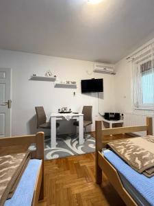 TV a/nebo společenská místnost v ubytování Apartman B&S Apatin