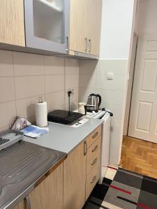 Kuchyň nebo kuchyňský kout v ubytování Apartman B&S Apatin
