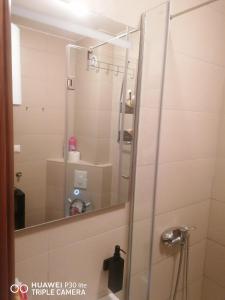 a bathroom with a shower with a mirror at Apartman Jahorina in Jahorina +18 photos