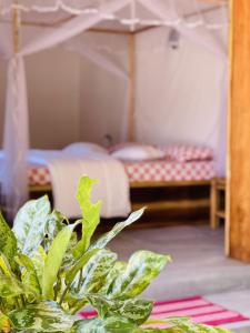 Φωτογραφία από το άλμπουμ του Kadjan villa σε Arugam Bay