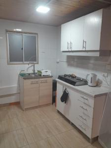 Kuchyň nebo kuchyňský kout v ubytování Departamento Jardin