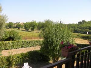 Vonkajšia záhrada v ubytovaní Etruria Life