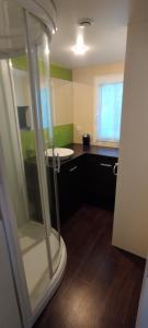 ラ・トランブラードにあるMobil home, 4 personnes, camping 3 étoiles à la Trembladeのシャワーと洗面台付きのバスルーム