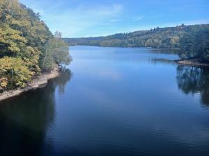 an aerial view of a large river with trees at La pause enchantee in Villarcoin