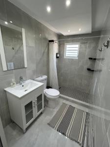 a bathroom with a sink and a toilet and a shower at Casa Fortuna Near Luquillo Beach & El Yunque in Luquillo