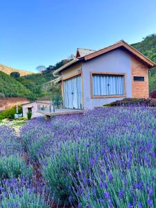a house in a field of lavender at Valle Piemonte in Divisa +54 photos