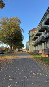 an empty street with trees and leaves on the ground at Nordic Zen Loft mit Garten in Magdeburg +13 photos