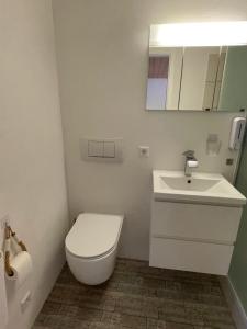 a bathroom with a toilet and a sink at Ferienhaus am Bächle in Breitnau +27 photos