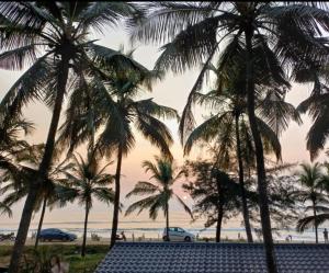 a view of the beach with palm trees and a pool at Johmena Serena Homestay in Kāsarkod