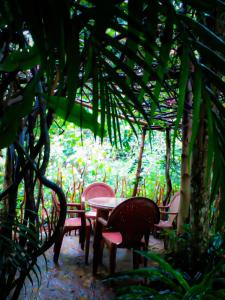 Zahrada ubytování Evergreen Resort Ella