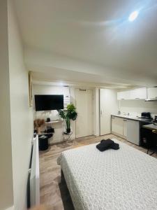 Кухня или мини-кухня в Studio Cosy dans le centre historique de Tournon sur Rhône
