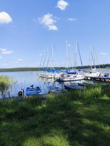 a group of boats are docked in the water at Modrzewiowy Zakątek in Ołobok