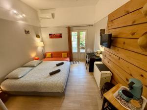 a bedroom with a bed and a television and a desk at Les Cazes Terre Sainte 1 - Proche CHU in Saint-Pierre