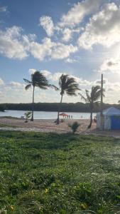 - une plage avec des palmiers et une étendue d'eau dans l'établissement Apartamento completo -João Pessoa 2 quartos -praia do sol, à João Pessoa