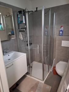 a bathroom with a shower and a toilet and a sink at Sandrashuis in Zulte