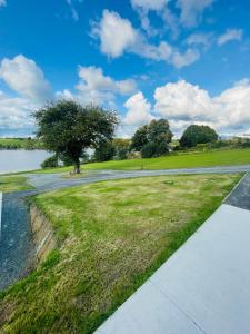 a walkway next to a lake with a tree at AeroHeaven Glamping in Cavan