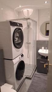 a washing machine in a bathroom with a shower at Viktor Apartment in Titisee-Neustadt