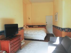 a bedroom with a bed and a flat screen tv at Maison Pistache in Le Dorat +13 photos