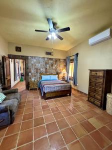 a bedroom with a bed and a ceiling fan at Pez Vela Suite - Right in the Center and Beach in Loreto
