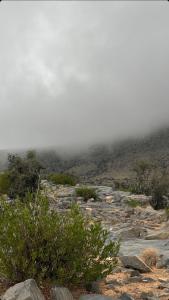 Fotografie z fotogalerie ubytování Jabal Hatt Resthouse v destinaci Khawr Zammah