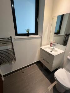 Bilik mandi di Digbeth Luxury 1 Bed Studio Apartment +20 gambar