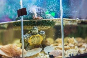 Galeriebild der Unterkunft Mini Hotel Venezia in Atyrau