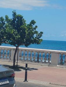 Príroda v okolí hostela