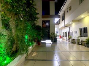 ein Flur mit Pflanzen an der Wand eines Gebäudes in der Unterkunft Bello y Céntrico Zona Turística Full Equipado in Santa Cruz de la Sierra