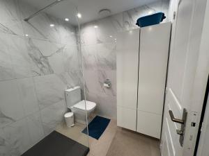a white bathroom with a toilet and a shower at Residence Anse des sables in Marigot +5 photos