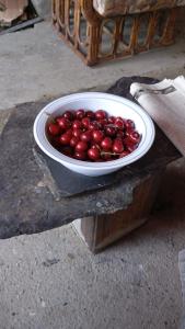 a bowl of cherries in a bowl on a table at Cottage De Hunza- A Soul Retreat Sanctuary in Hunza