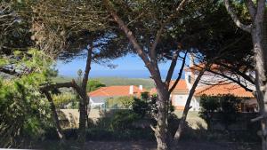 a view from the garden of a house with trees at Moradia Sisudo in Colares