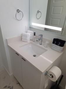 Photo de la galerie de l'établissement Modern Oasis Retreat Near Downtown Houston, à Houston