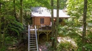 a tree house in the woods with a ladder at Trillium in Banner Elk