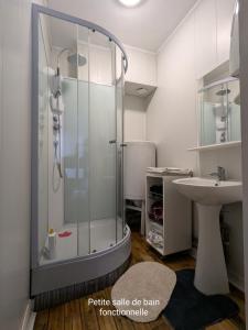 a bathroom with a shower and a sink at Spacieux apt avec terrasse proche plage in Criel-sur-Mer