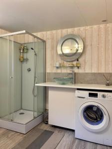 a bathroom with a washing machine and a mirror at Charmant appartement au coeur du centre-ville in Dives-sur-Mer