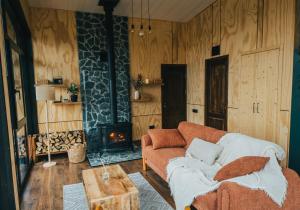 a living room with a couch and a fireplace at Inima Pustei Cabin in Măguri