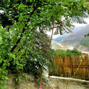 Gallery image of Cottage De Hunza- A Soul Retreat Sanctuary in Hunza
