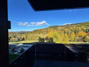 a room with a window with a view of a mountain at SPA Apartament Wisła prywatna sauna, jacuzzi i bilard in Wisła