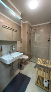 a bathroom with a sink and a shower at Lindenhof Apartment 13 in Bad Aibling