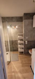 サンタ・ルシア・ディ・モリアニにあるSanta Lucia Dreamのシャワーとトイレ付きのバスルーム